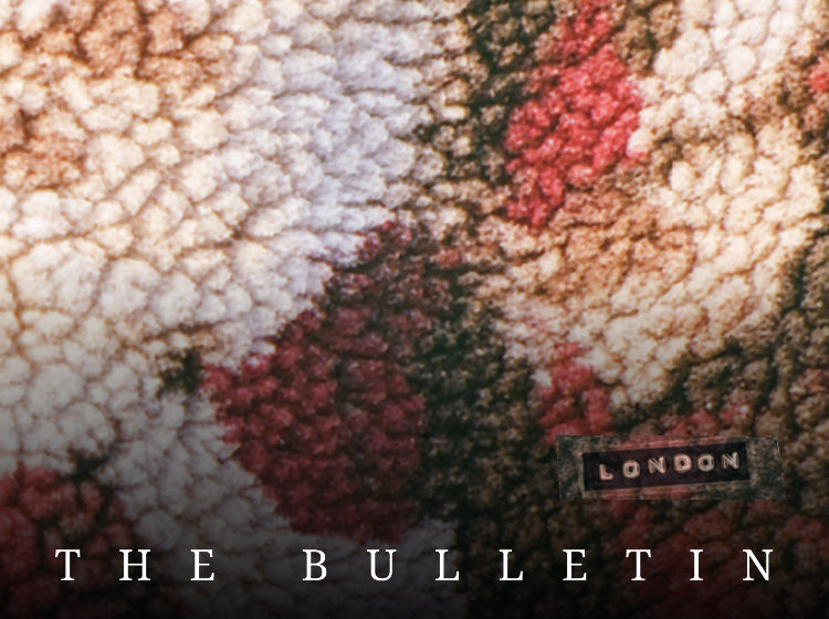 Martine Rose: Subculture, Style, and the Art of Disruption