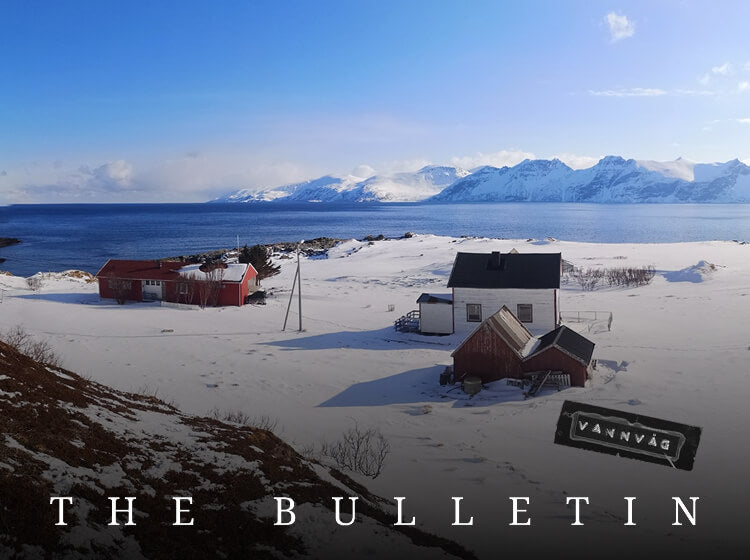 Snow-covered coastal village overlooking the sea and mountains.