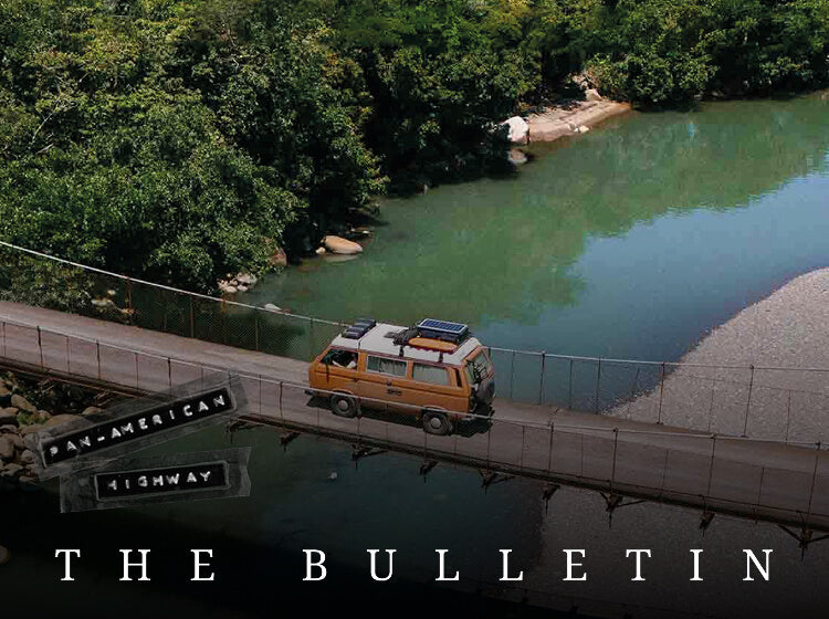 A window to the world