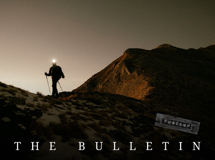 Among the waves before the mountains