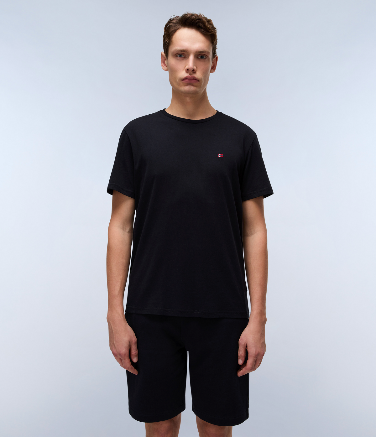 送料込★NAPAPIJRI★半袖Tシャツ Salis Sum Tシャツ Salis Jersey Short Sleeve T-Shirt