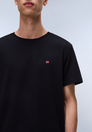 送料込★NAPAPIJRI★半袖Tシャツ Salis Sum Tシャツ Salis Jersey Short Sleeve T-Shirt
