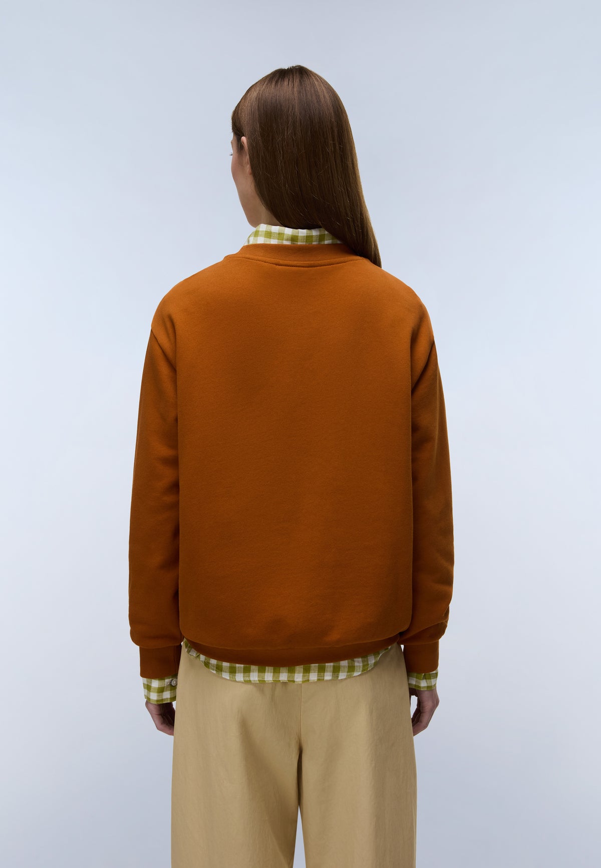 Antimony French Terry Sweatshirt Brown - 5