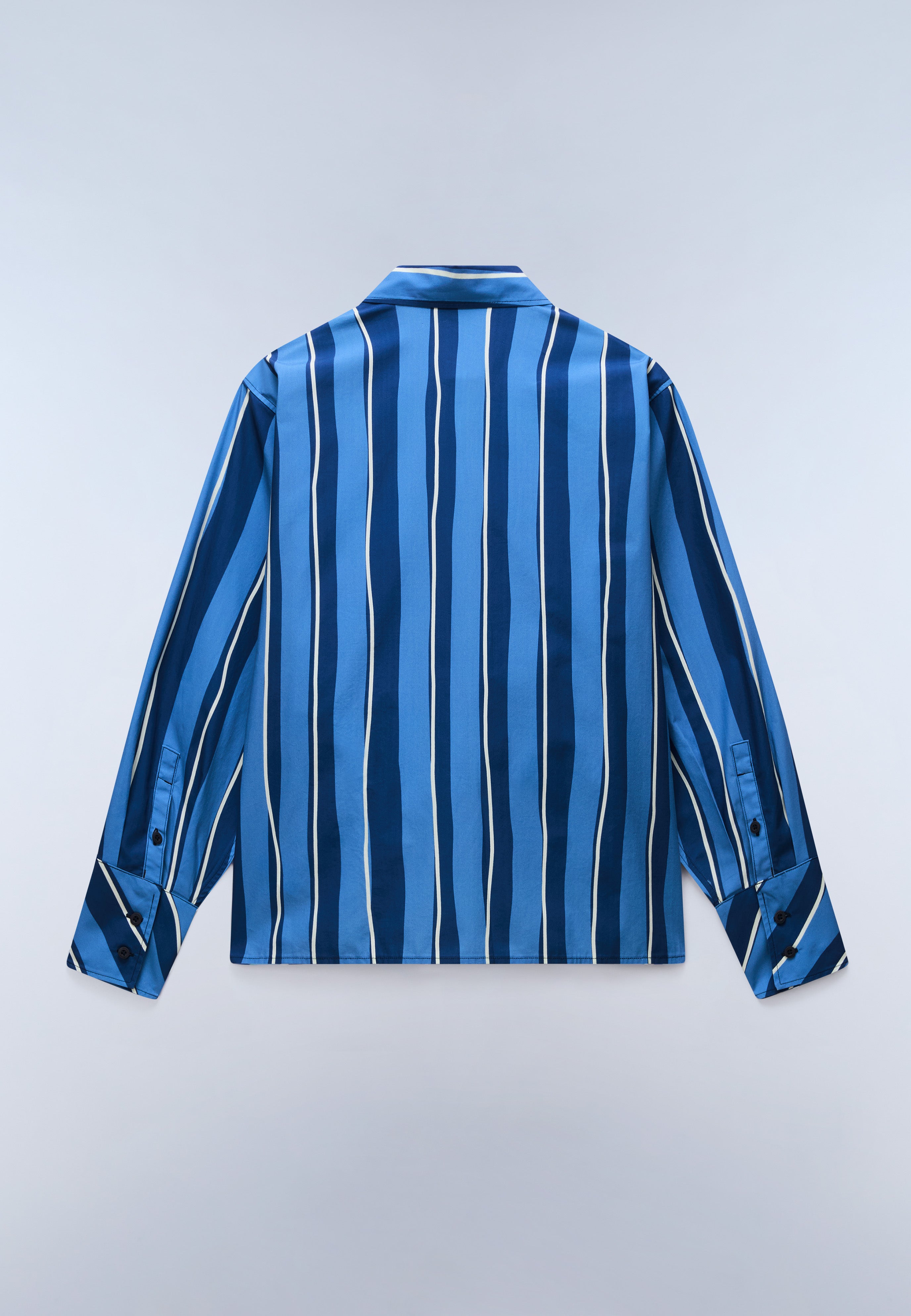 Anions Long Sleeve Shirt | Long Sleeve Shirts | Napapijri PT