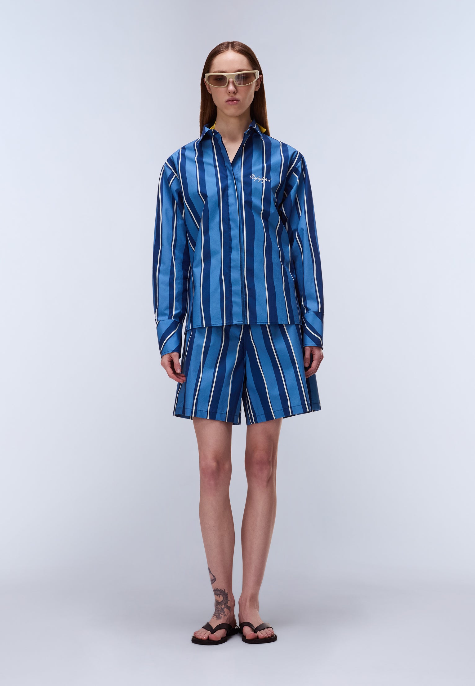 Anions Long Sleeve Shirt Blue Stripe SEZ