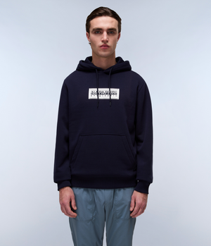Box Logo French Terry Hoodie