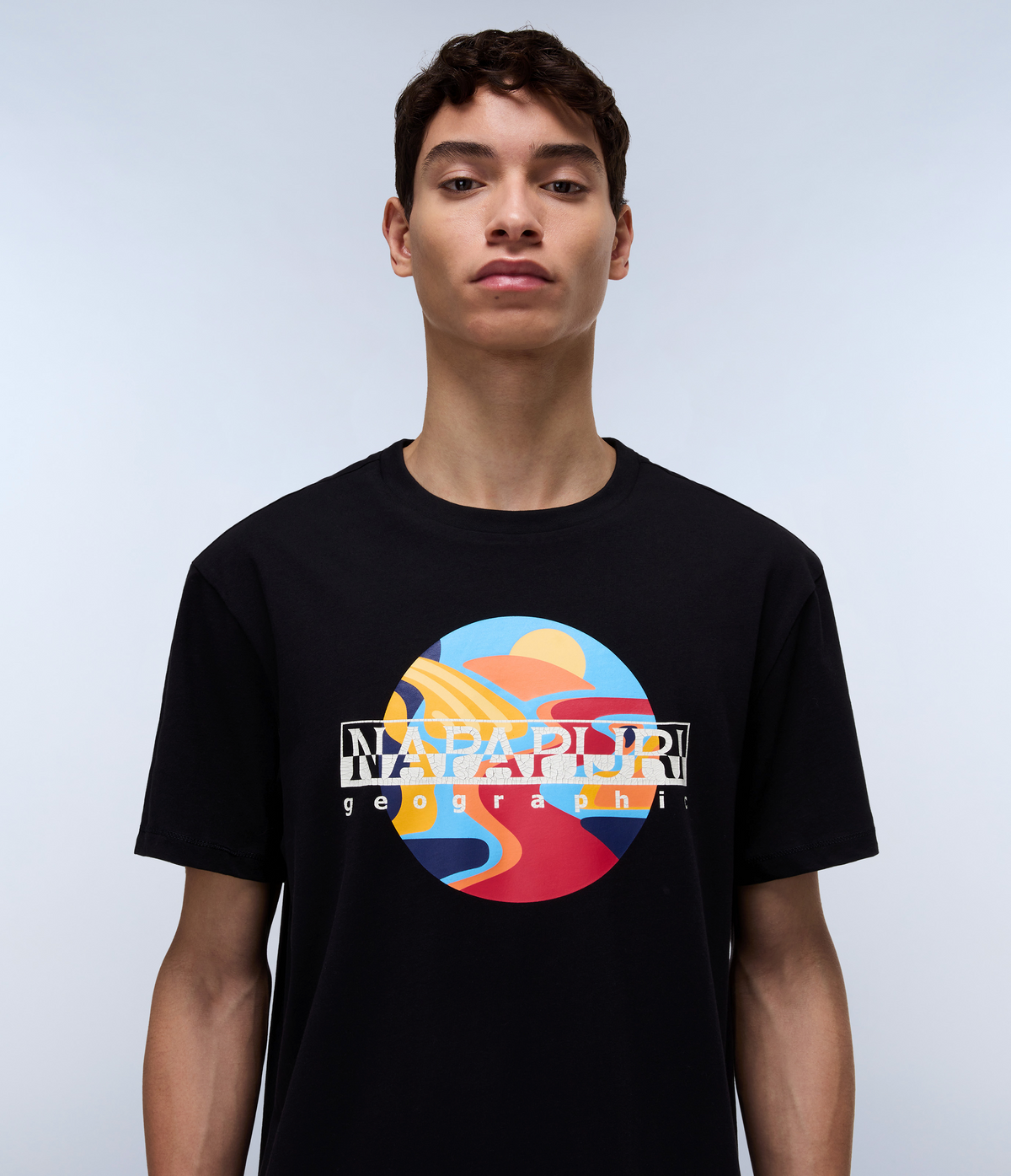 NP0A4IE6941-ALT1