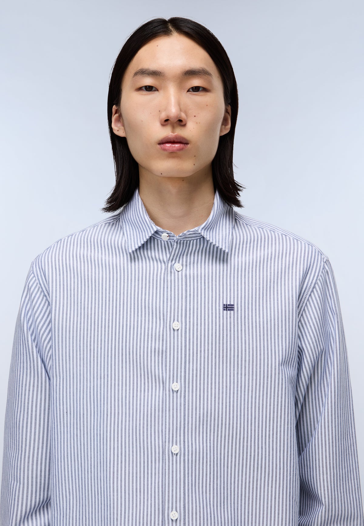 Camicia a Maniche Lunghe Terra Grigio Stripe 94S - 2