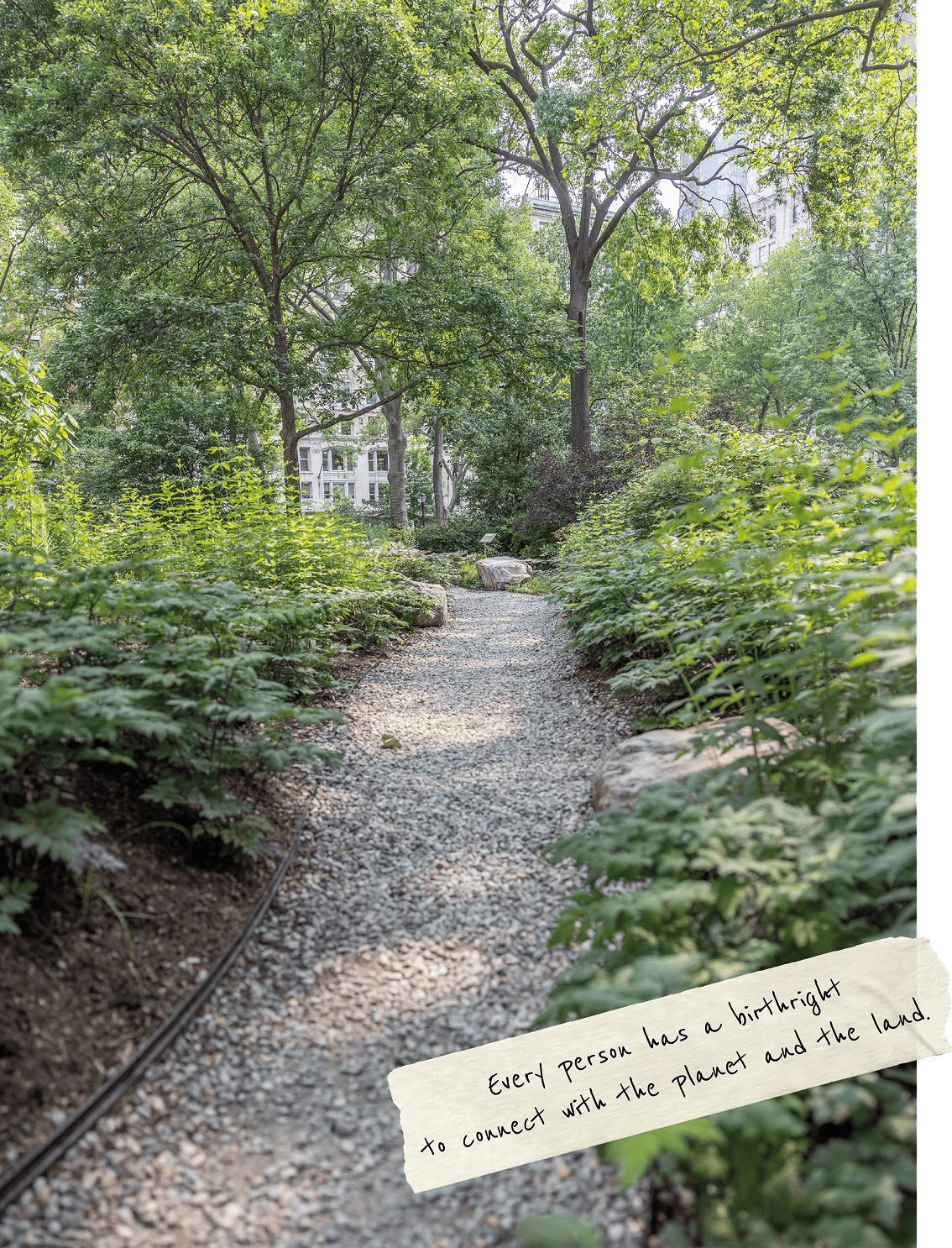 Gravel pathway winding through a garden with dense greenery and trees in the background.